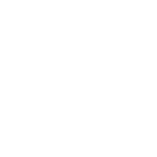 Repro India logo